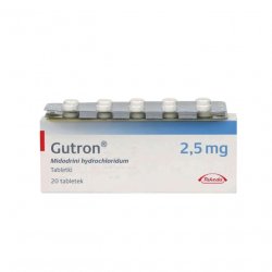 Гутрон таблетки 2,5 мг. №20 в  и области фото